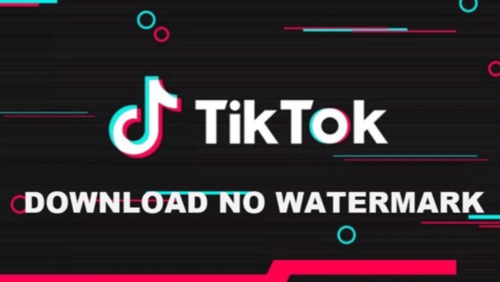 Download video tik tok không có logo bằng Snaptik